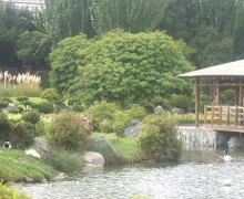 jardin japones.jpg